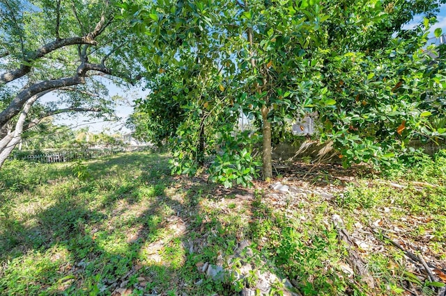 6130 Japonica Ct, New Port Richey, FL 34655 - photo 42