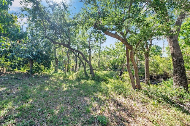 6130 Japonica Ct, New Port Richey, FL 34655 - photo 44