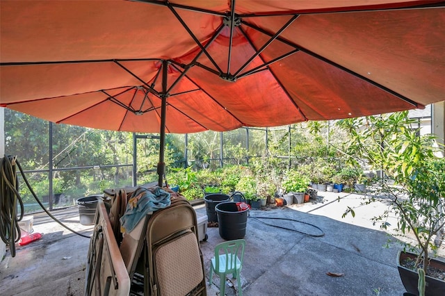 6130 Japonica Ct, New Port Richey, FL 34655 - photo 46