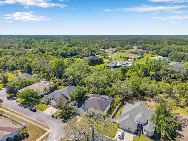 6130 Japonica Ct, New Port Richey, FL 34655 - photo 53