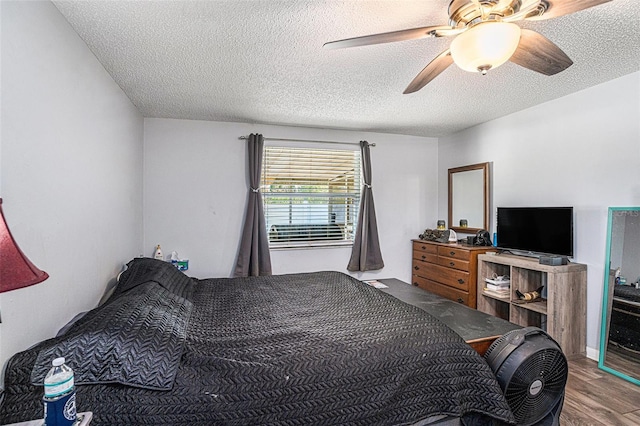 512 Red Mangrove Ln, Apollo Beach, FL 33572 - photo 15