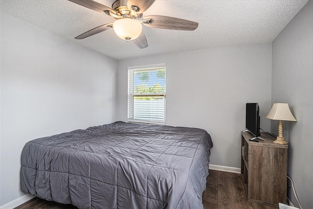 512 Red Mangrove Ln, Apollo Beach, FL 33572 - photo 18