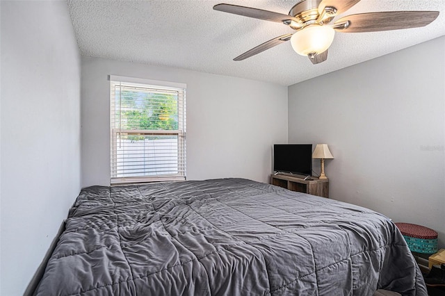 512 Red Mangrove Ln, Apollo Beach, FL 33572 - photo 19