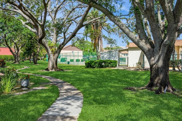 1821 Bough Ave Unit 4, Clearwater, FL 33760 - view of yard