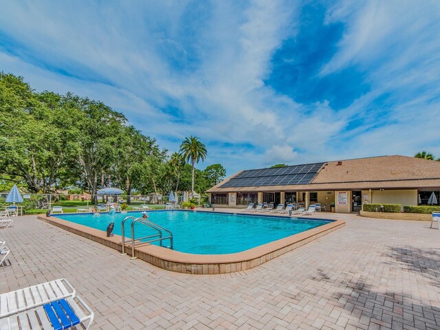 2555 Royal Pines Cir Unit A, Clearwater, FL 33763 - community pool with a patio area