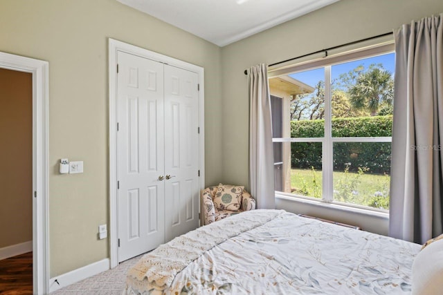 bedroom featuring baseboards, multiple windows, and a closet