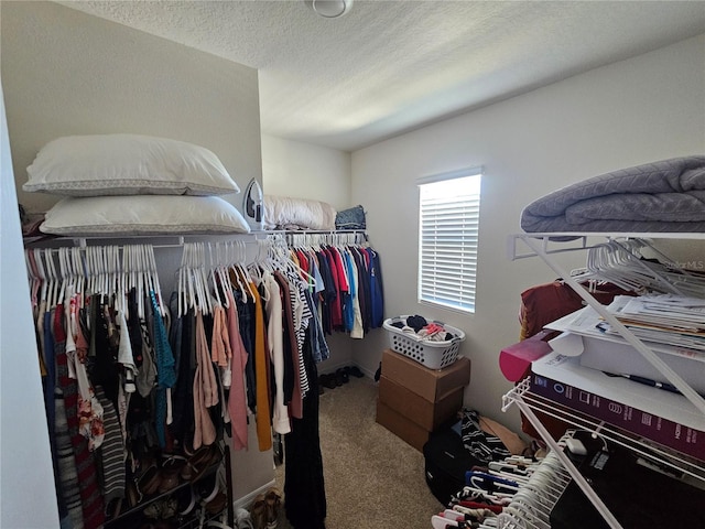 spacious closet with carpet floors