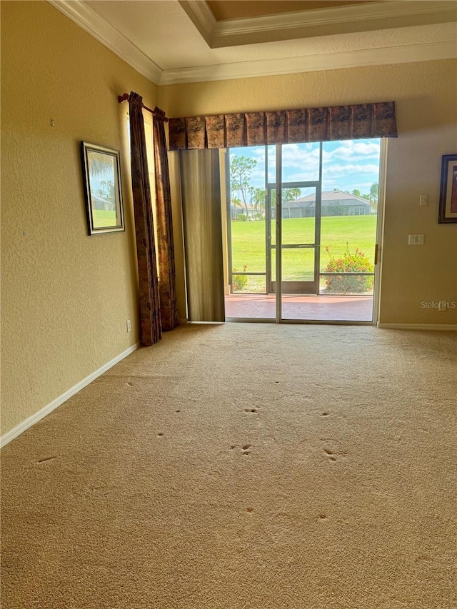 446 Noble Faire Dr, Sun City Center, FL 33573 - empty room featuring baseboards, carpet floors, crown molding, and a textured wall