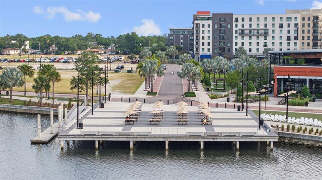 2314 N Riverside Dr, Tampa, FL 33602 - photo 73