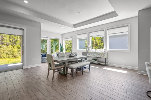 15329 Renaissance Ave, Odessa, FL 33556 - dining area featuring baseboards, a tray ceiling, and wood finished floors