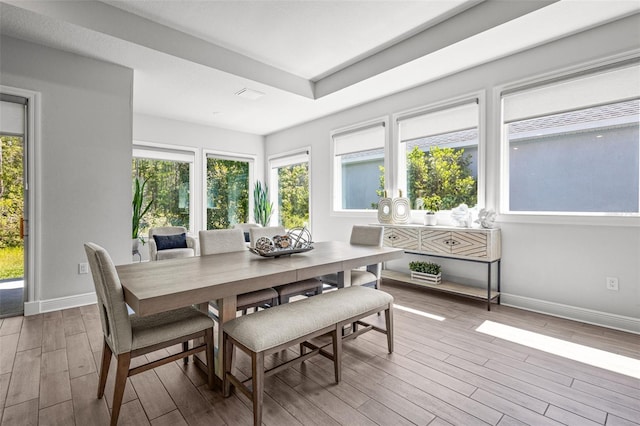 15329 Renaissance Ave, Odessa, FL 33556 - sunroom featuring a healthy amount of sunlight