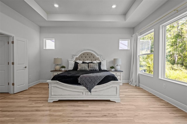 15329 Renaissance Ave, Odessa, FL 33556 - bedroom with light wood-style floors, baseboards, and multiple windows