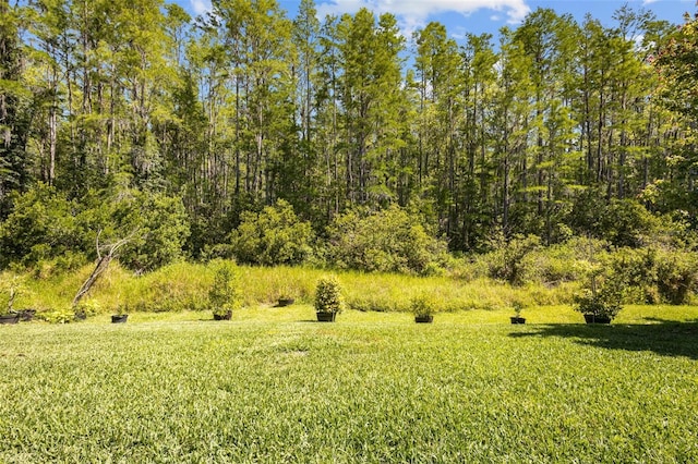 15329 Renaissance Ave, Odessa, FL 33556 - view of yard