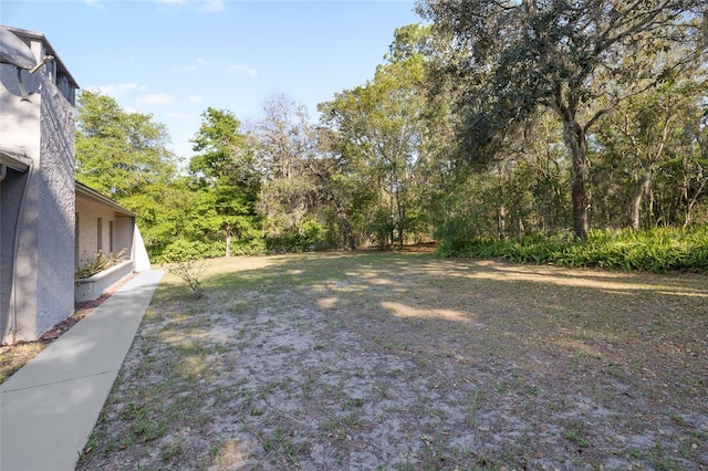 view of yard