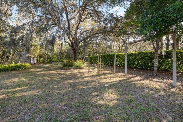 view of yard