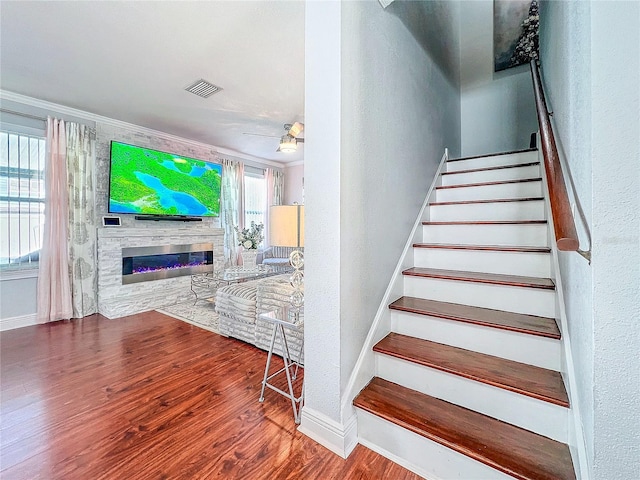 16819 Stanza Ct, Tampa, FL 33624 - staircase with wood finished floors, a glass covered fireplace, a textured wall, baseboards, and ornamental molding