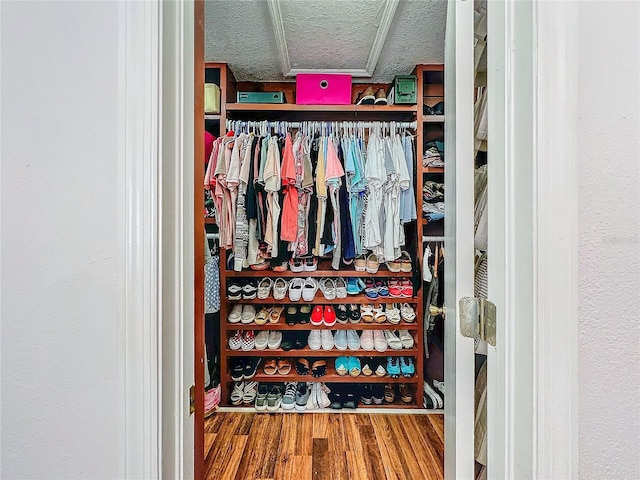 16819 Stanza Ct, Tampa, FL 33624 - view of closet
