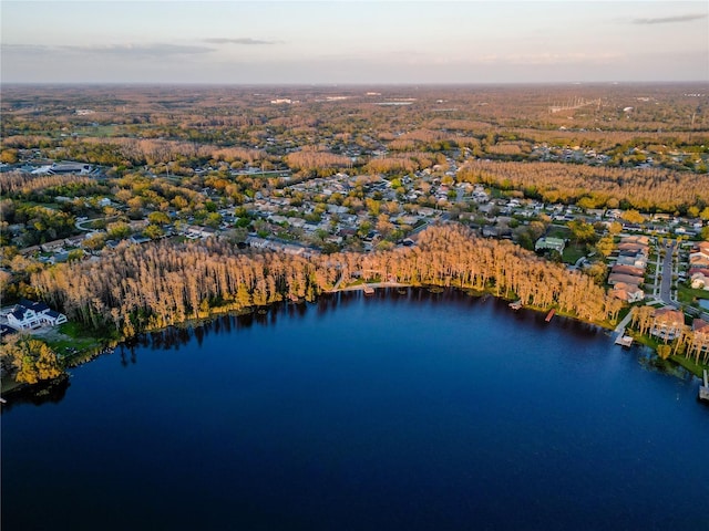 16819 Stanza Ct, Tampa, FL 33624 - bird's eye view with a water view and a view of trees