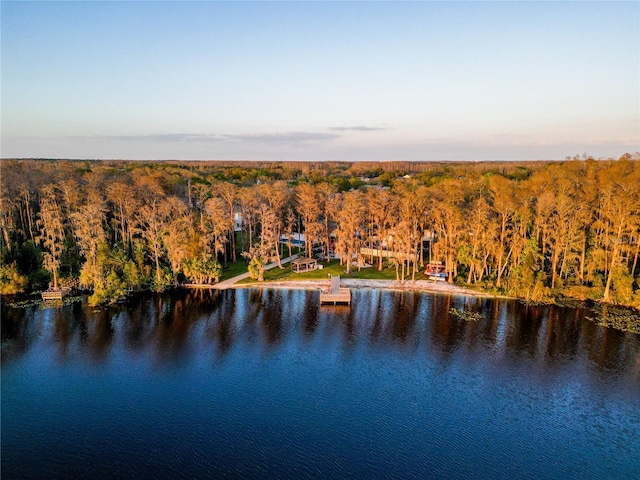 16819 Stanza Ct, Tampa, FL 33624 - aerial view featuring a wooded view and a water view