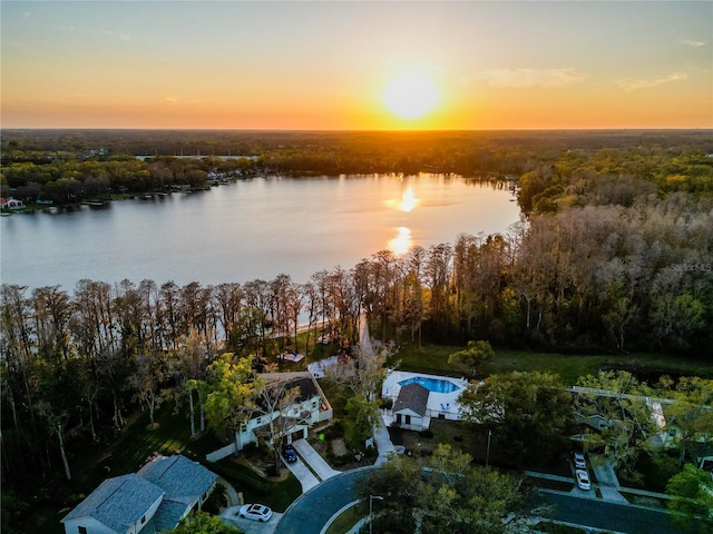 16819 Stanza Ct, Tampa, FL 33624 - aerial view at dusk featuring a water view and a view of trees