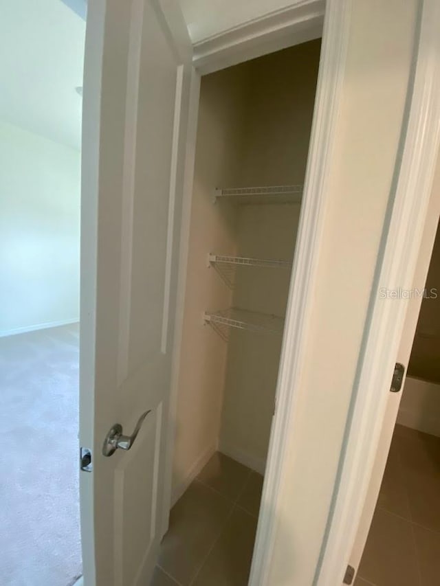 7937 Wheat Stone Dr, Zephyrhills, FL 33540 - view of closet