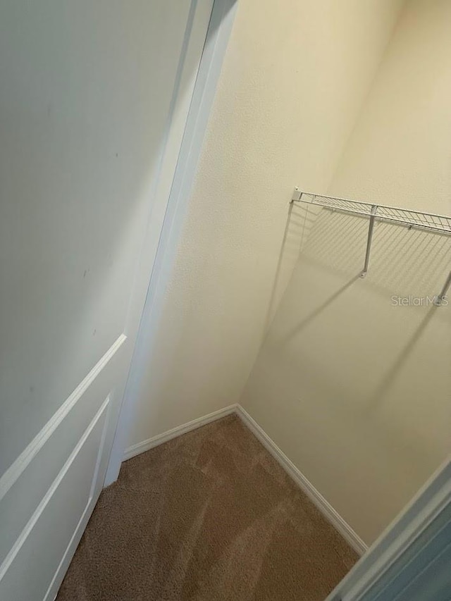 7937 Wheat Stone Dr, Zephyrhills, FL 33540 - spacious closet featuring carpet floors