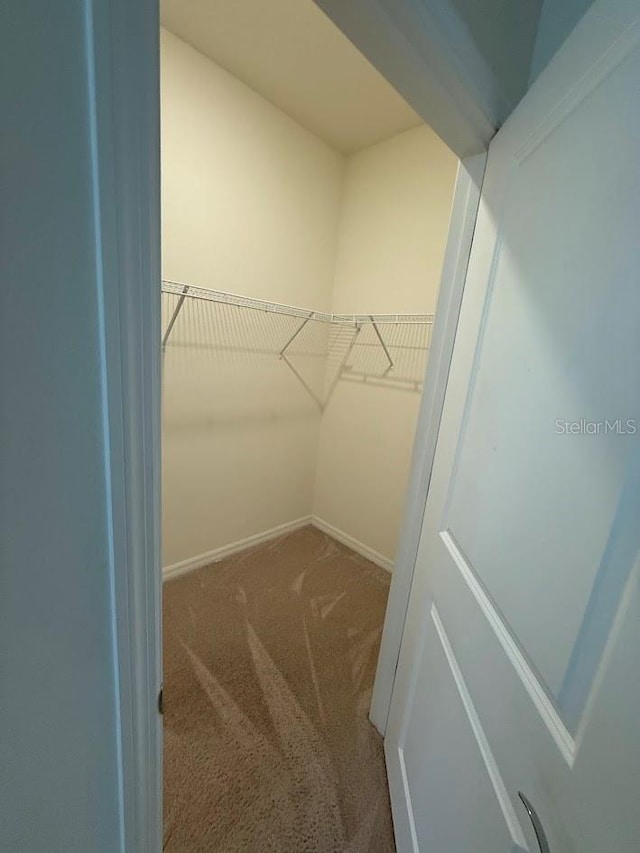 7937 Wheat Stone Dr, Zephyrhills, FL 33540 - spacious closet featuring carpet floors