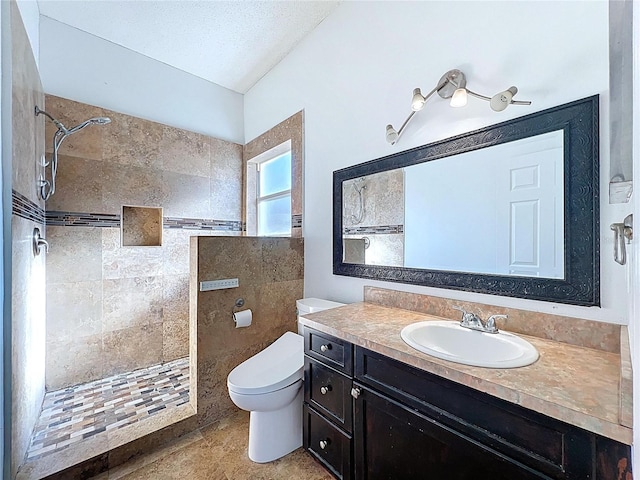 11535 Wellman Dr, Riverview, FL 33578 - bathroom with toilet, vanity, and tiled shower