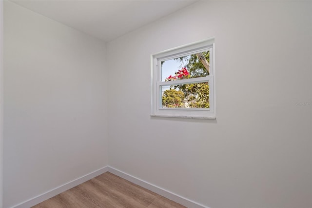 8401 Stillbrook Ave, Tampa, FL 33615 - photo 19