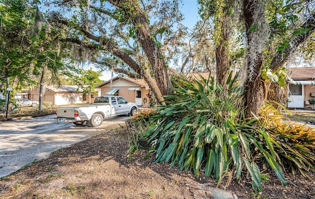 618 July Dr, Tarpon Springs, FL 34689 - view of yard featuring driveway