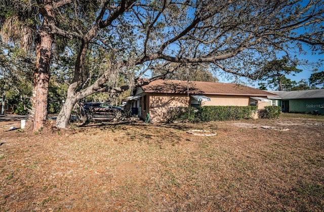 618 July Dr, Tarpon Springs, FL 34689 - view of yard