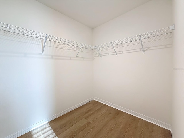 spacious closet featuring wood finished floors