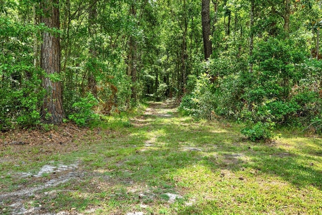 24498 Casey Rd, Brooksville, FL 34601 - photo 57