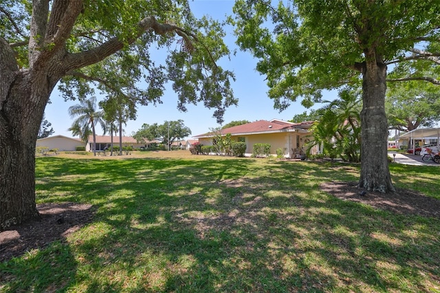 319 Kelsey Way, Sun City Center, FL 33573 - view of yard