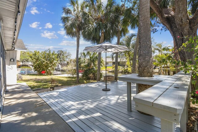 4368 Marine Pkwy, New Port Richey, FL 34652 - photo 9