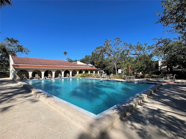 2699 Seville Blvd Unit 705, Clearwater, FL 33764 - photo 33