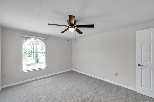 186 Dan River Dr, Spring Hill, FL 34606 - photo 36