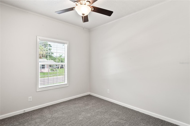 4568 18th Ave S, Saint Petersburg, FL 33711 - photo 15