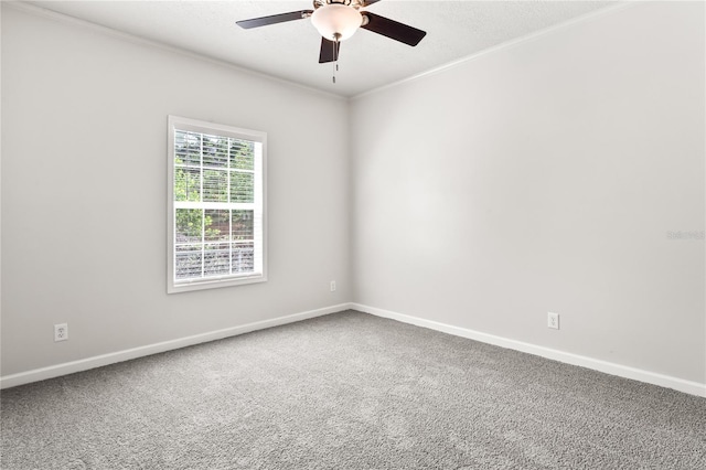4568 18th Ave S, Saint Petersburg, FL 33711 - photo 18