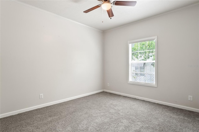 4568 18th Ave S, Saint Petersburg, FL 33711 - photo 21
