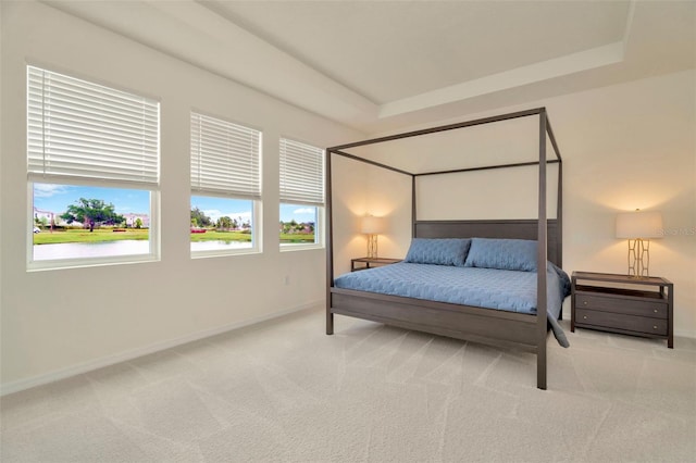 3504 Golden Wheat Ln, Plant City, FL 33565 - bedroom with carpet, baseboards, and multiple windows