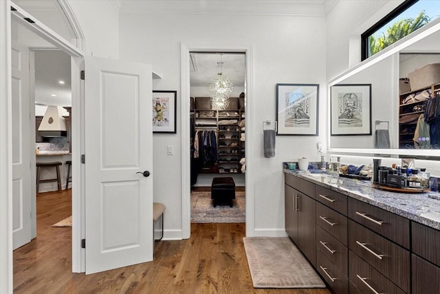 bathroom with a spacious closet, ornamental molding, vanity, and wood finished floors