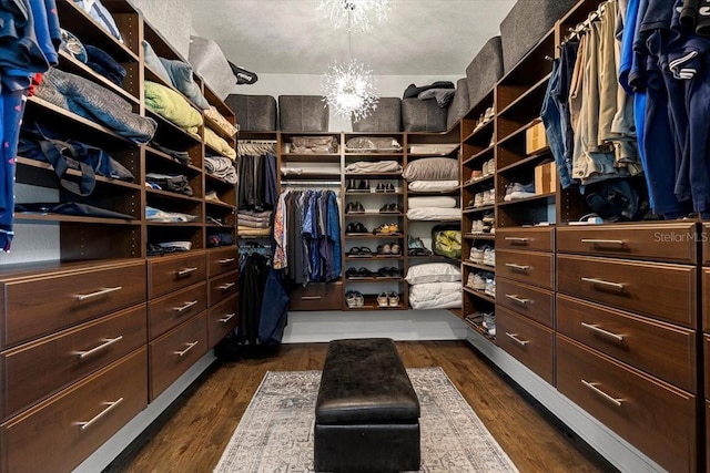 walk in closet with a chandelier and dark wood-style floors