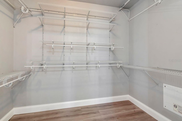 walk in closet featuring wood finished floors