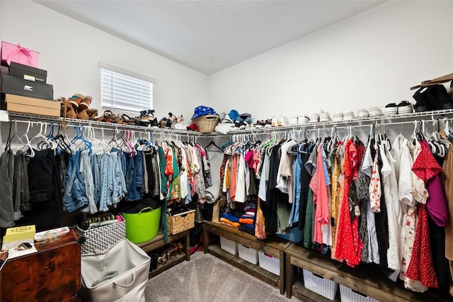 view of walk in closet