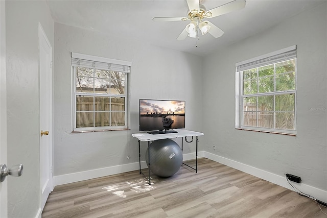 249 41st Ave NE, Saint Petersburg, FL 33703 - photo 11