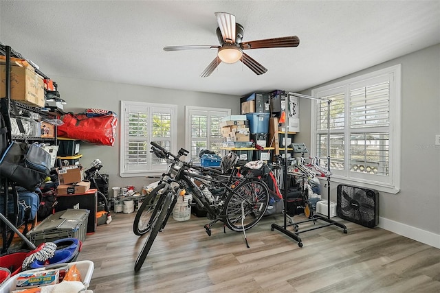 249 41st Ave NE, Saint Petersburg, FL 33703 - photo 16