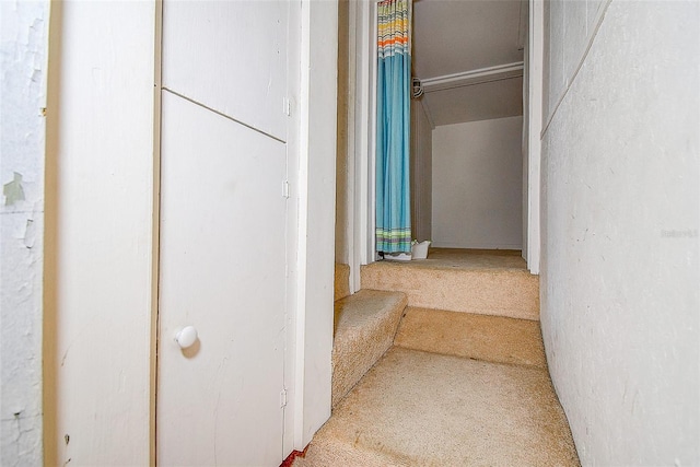 interior space featuring carpet flooring