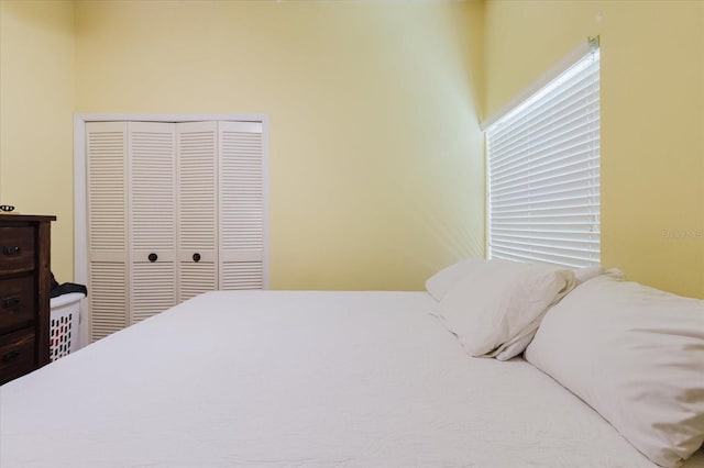 11209 Pocket Brook Dr, Tampa, FL 33635 - bedroom with a closet