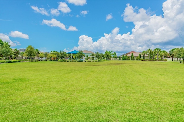 11852 Lake Lucaya Dr, Riverview, FL 33579 - photo 75